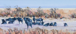 Midday - Etosha II Namibia | 2014-15 | Oil on Canvas | 28 X 75 cm